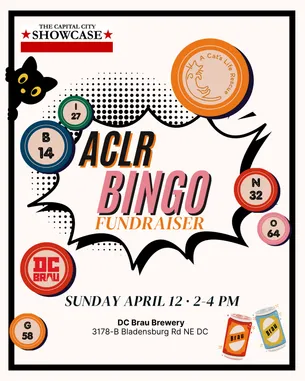 A Cats Life Rescue - Fundraiser BINGO!